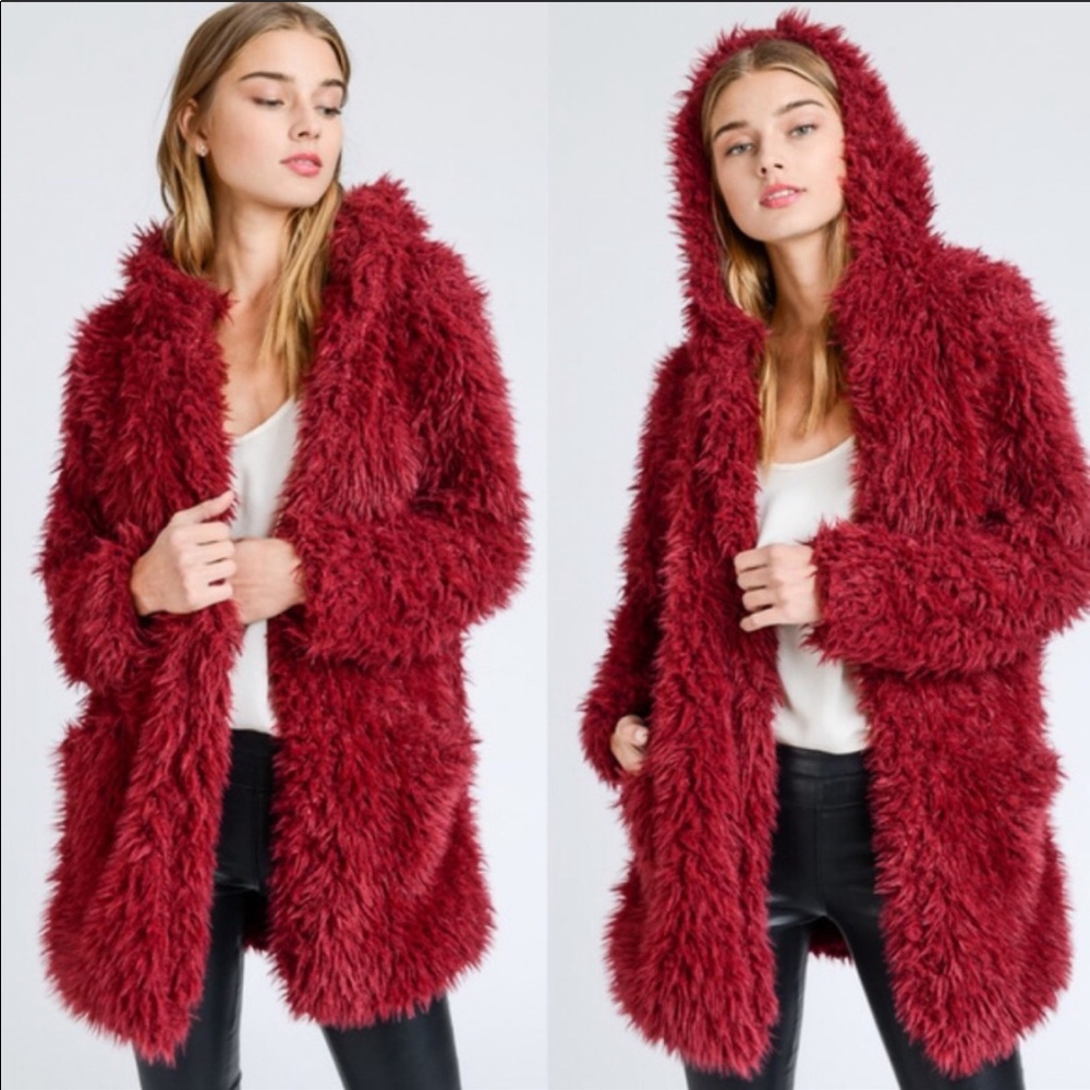 ✨LAST ONE✨Gorgeous fabulous hooded jacket - Picture 2 of 3